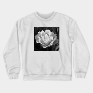 Black and White Foxtrot Crewneck Sweatshirt